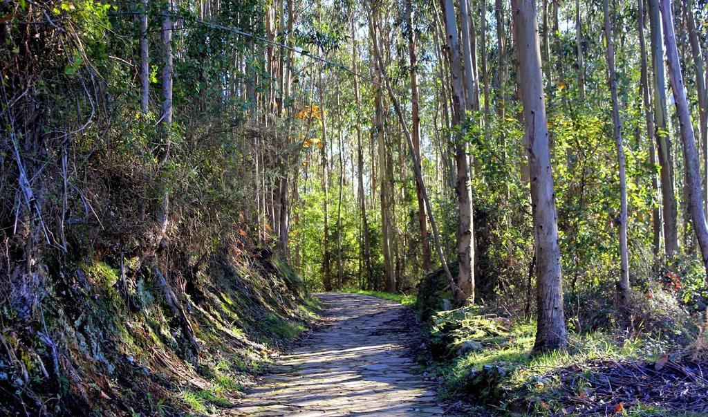 Apartamentos Turisticos La Flor Muros de Nalón エクステリア 写真